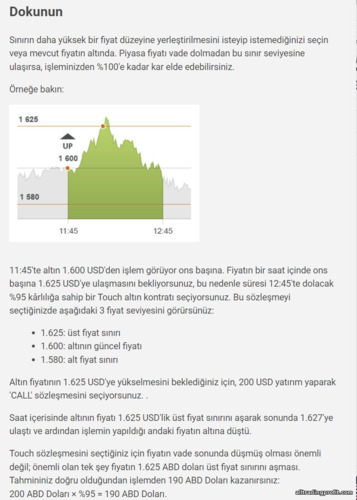 tek dokunuşla ikili opsiyon çalışma prensibi