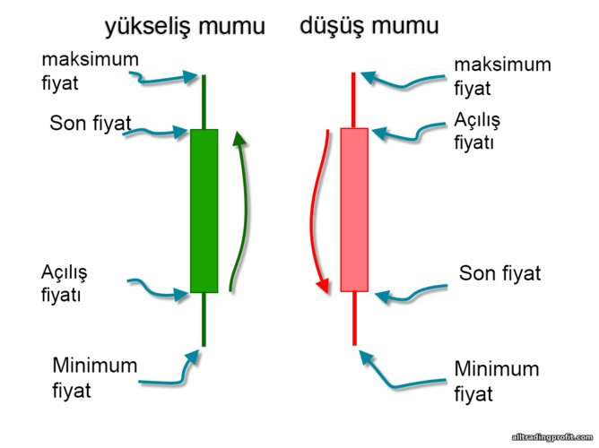 Japon mumları