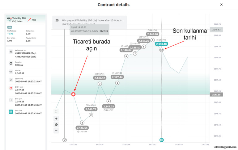 ticarette bir kene ikili opsiyonu kullanma