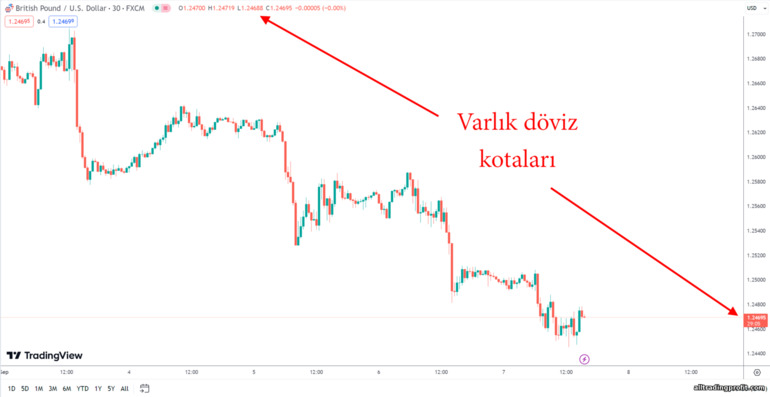 Varlığın döviz kotasyonları