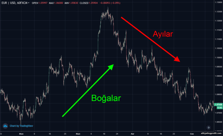 Grafikte boğalar ve ayılar