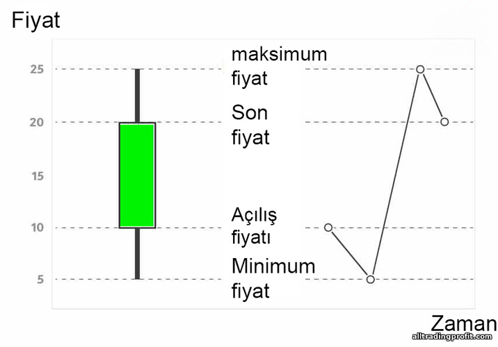 Japon mum oluşumu