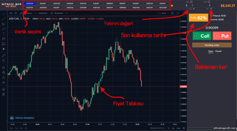 İkili opsiyonlar nasıl çalışır?