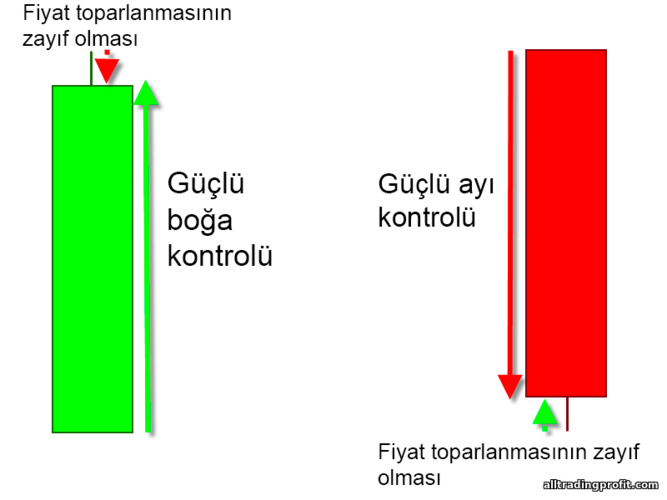 ayılar ve boğalar üzerinde güçlü kontrol