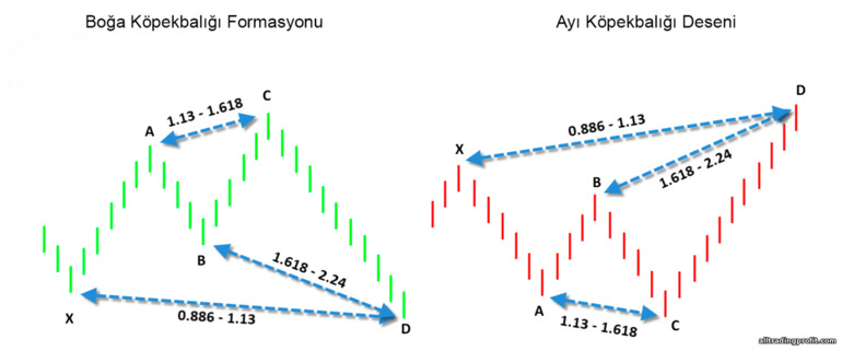 köpekbalığı deseni