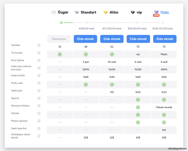 Stockity broker hesap durumları