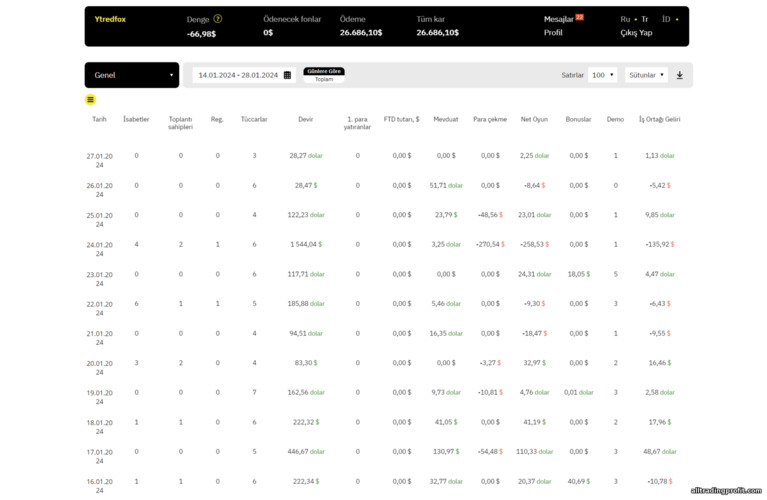 Binarium broker ortaklık programındaki istatistikler