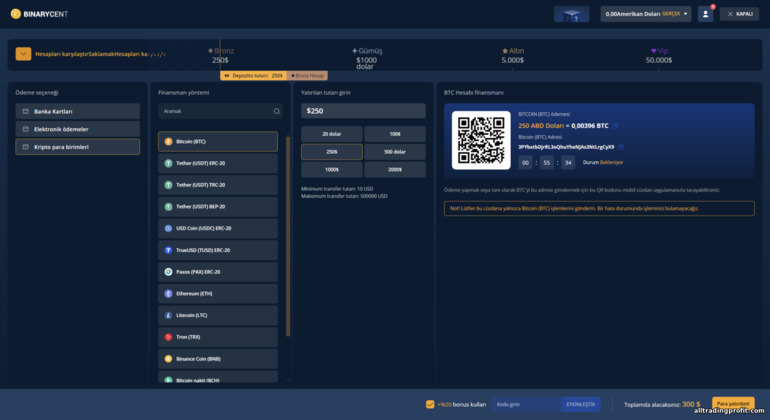Binarycent broker ticaret platformu