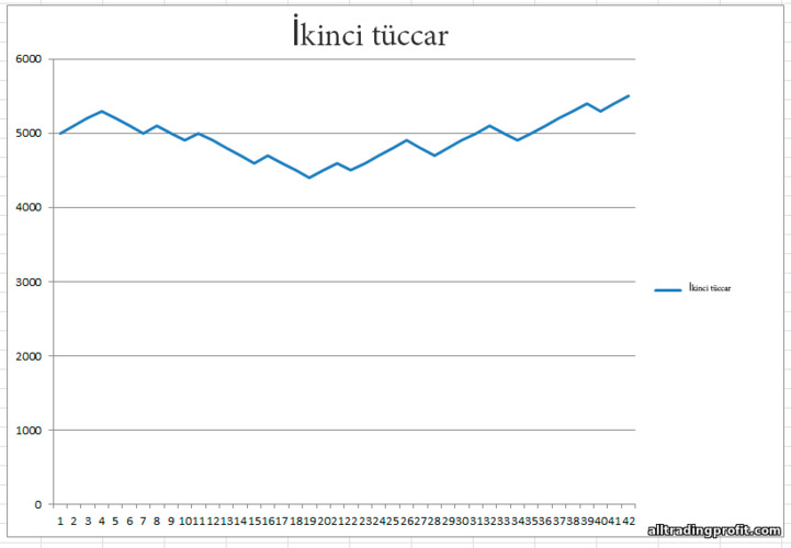 ikinci yatırımcının sonuçları