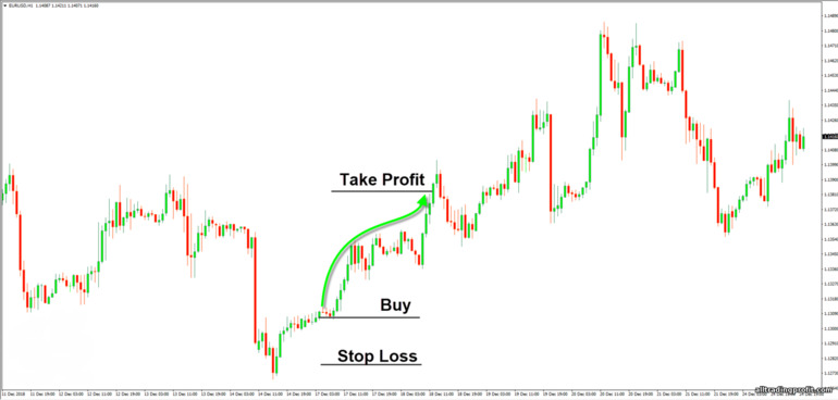 Forex karı