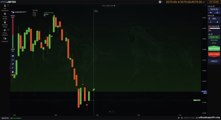 ute.limited'de örnek işlem ute.limited'de örnek işlem