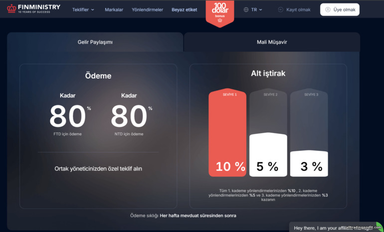 Finministry’de RevShare ve Alt Ortaklık