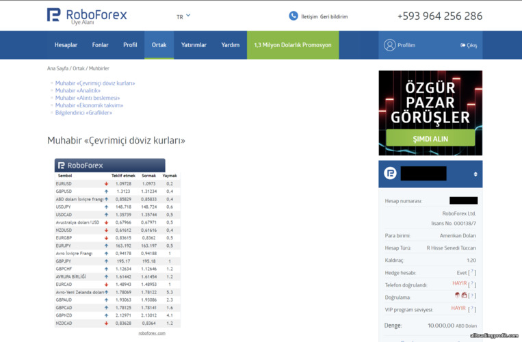 RoboForex Ortaklık Programındaki Bilgilendiriciler