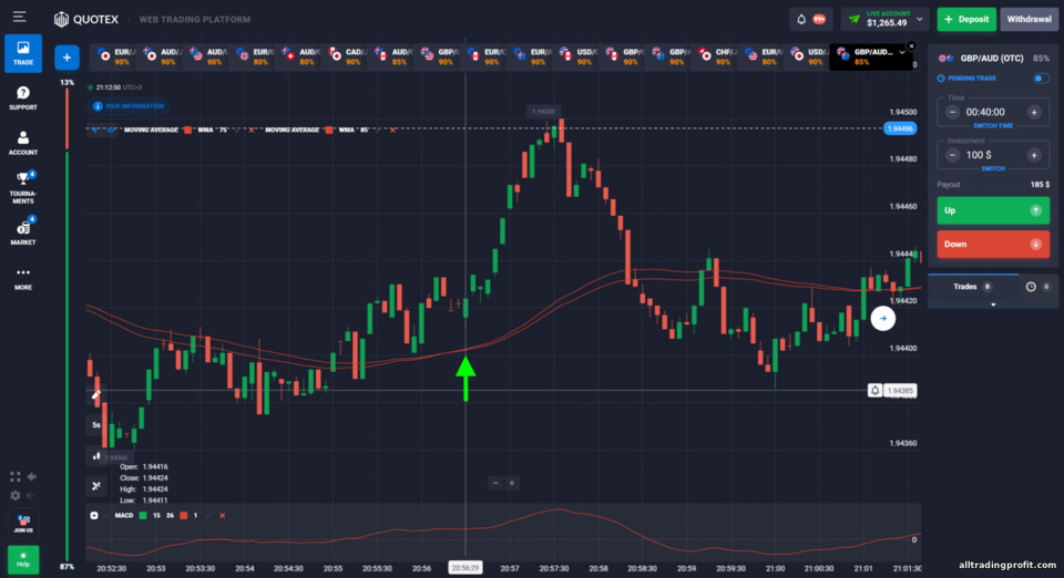 Puria Method İkili Opsiyon Stratejisi