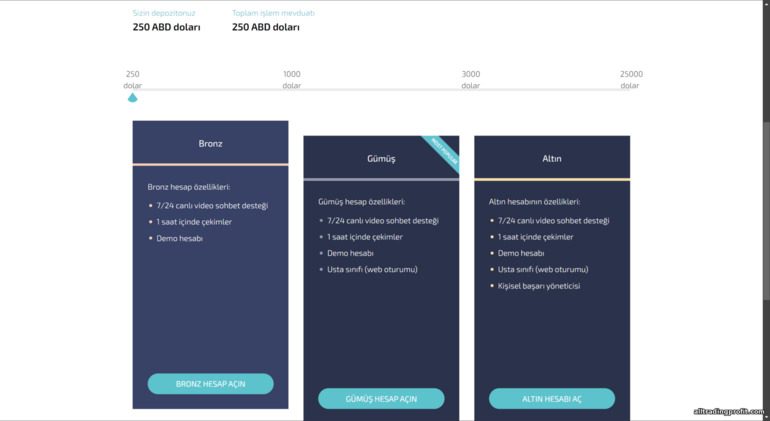 DaxBase Broker'daki Ticaret Hesabı Türleri
